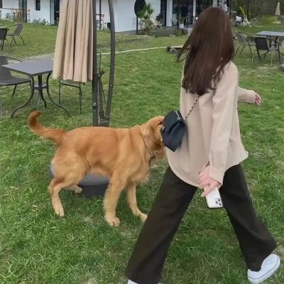 耻辱的收获